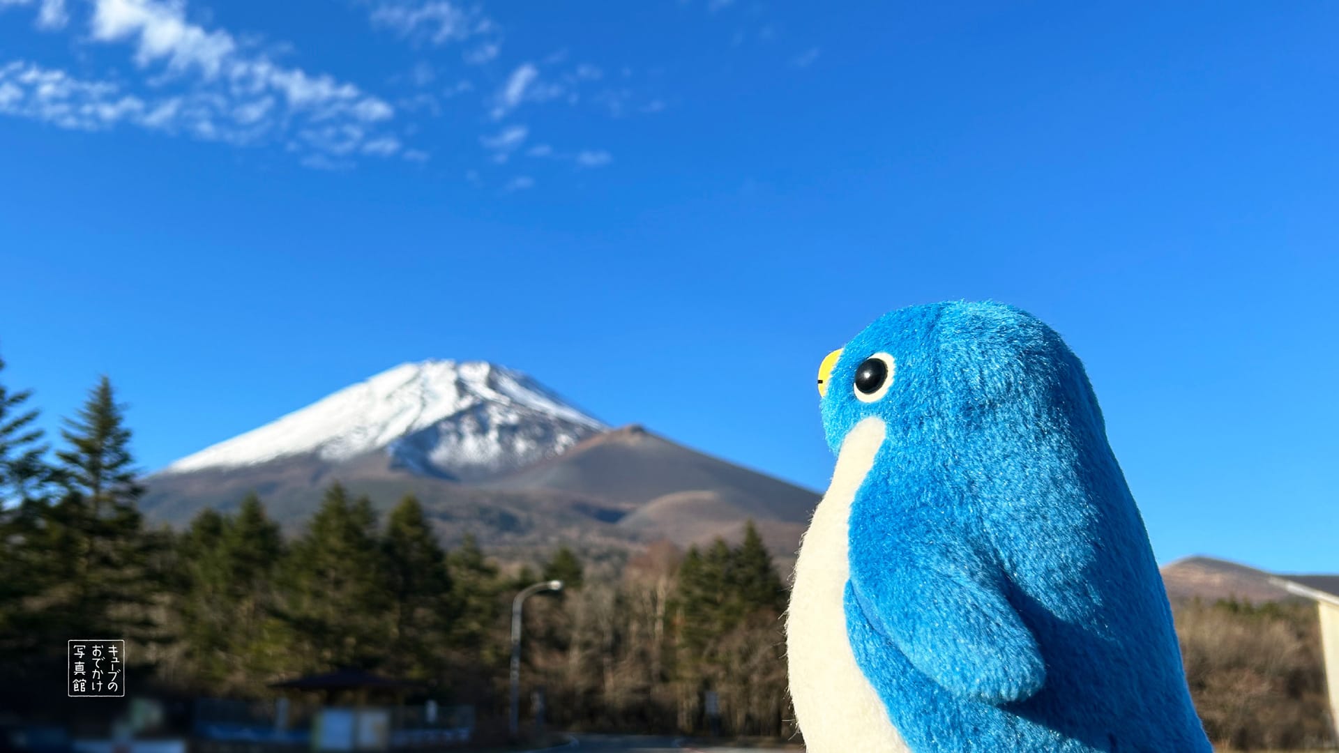 明けましておめでとうございます！